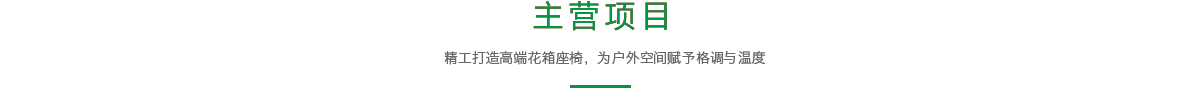 主营项目