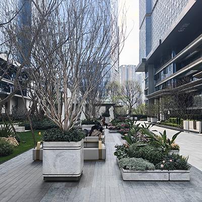 昆明某项目树箱现场图片